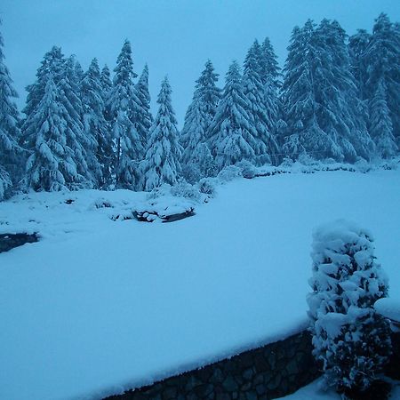 Appartement Diamant Sölden Esterno foto