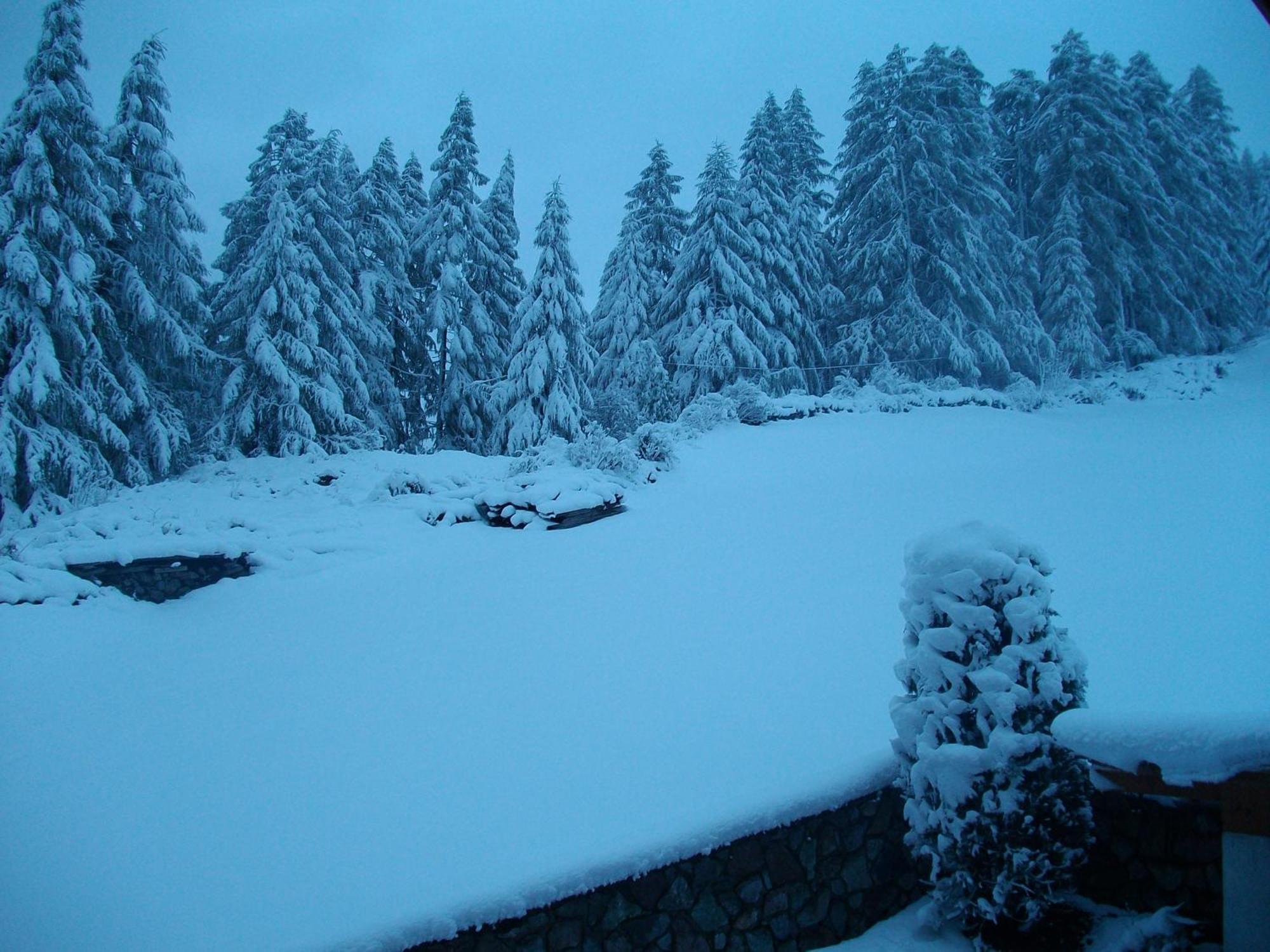 Appartement Diamant Sölden Esterno foto